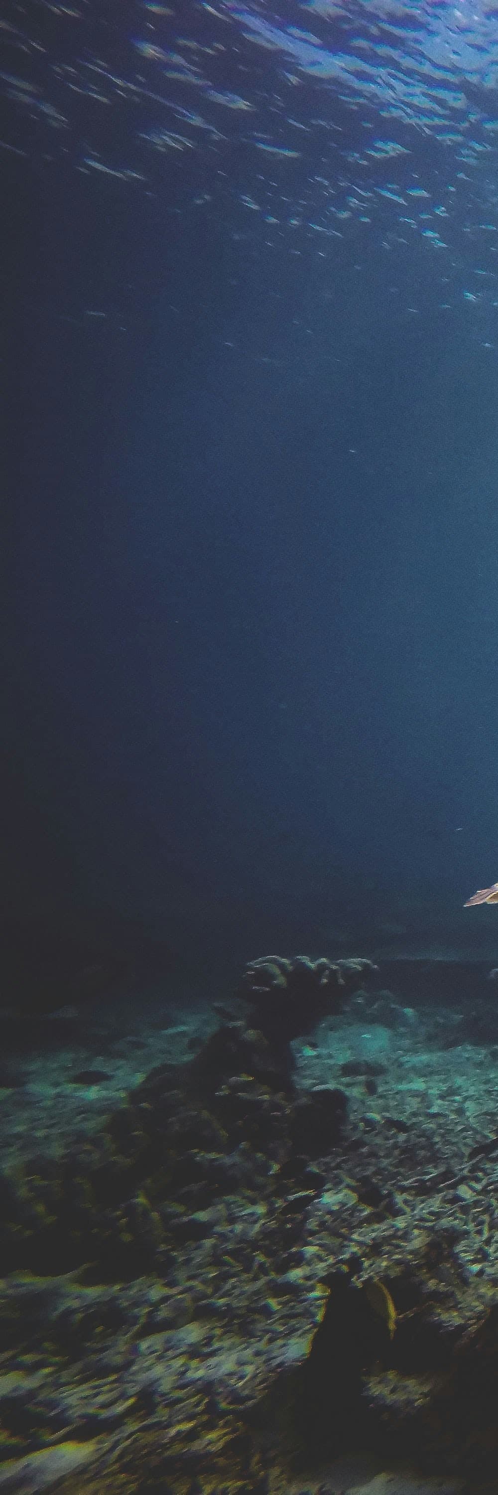 Ocean Accounting Platform - Part 1