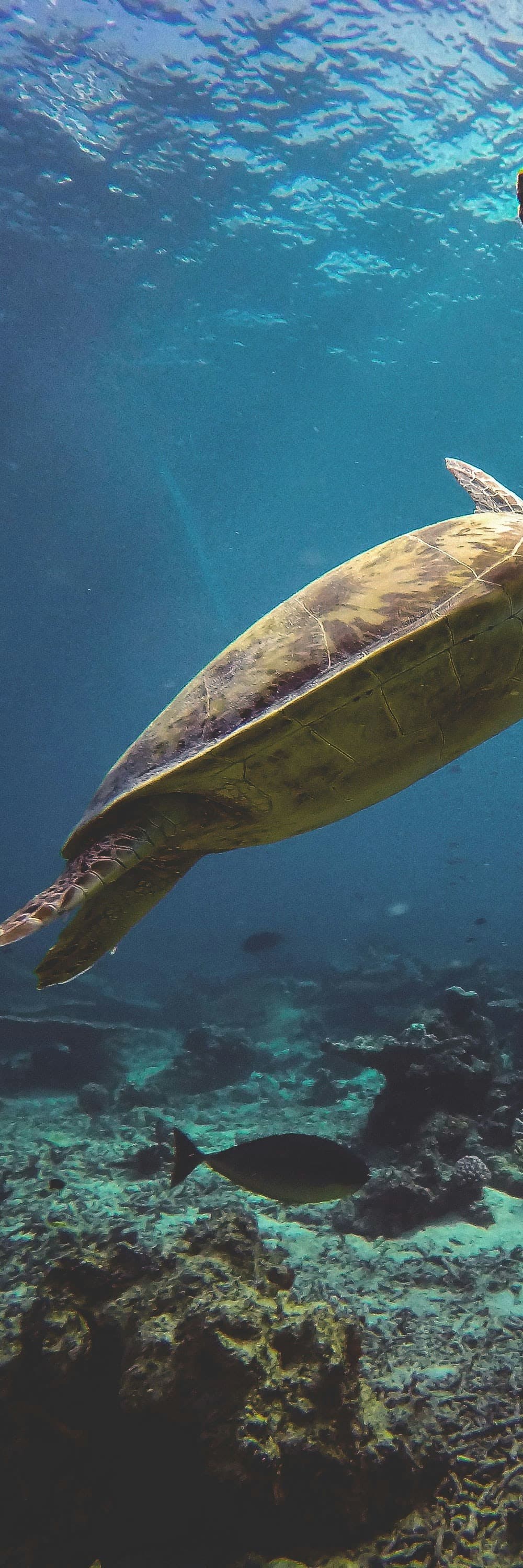 Ocean Accounting Platform - Part 2