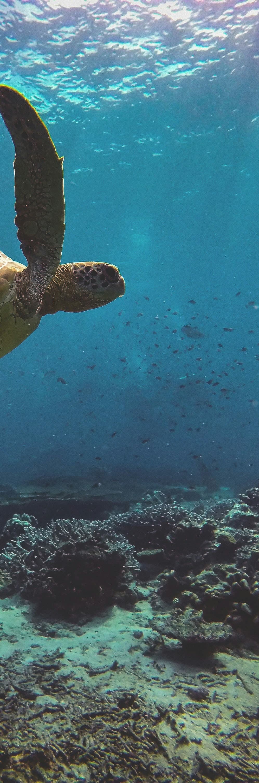 Ocean Accounting Platform - Part 3