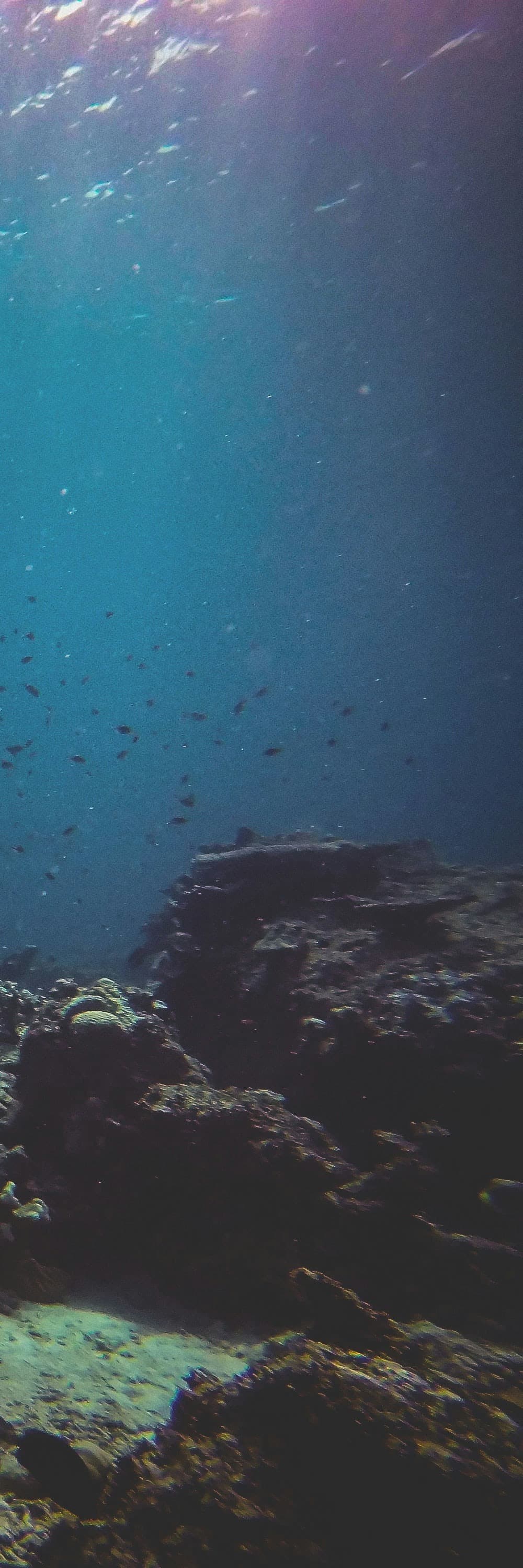 Ocean Accounting Platform - Part 4